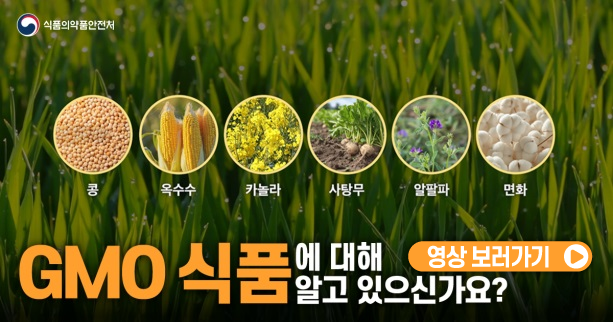 식품의약품안전처
콩, 옥수수, 카놀라, 사탕무, 알팔파, 면화
GMO식품에 대해 알고 있으신가요? 영상 보러가기>